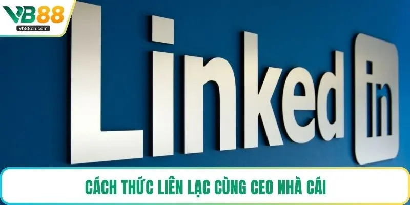 Cách thức liên lạc cùng CEO nhà cái