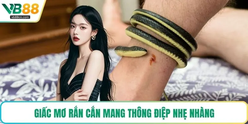 Giấc mơ rắn cắn mang thông điệp nhẹ nhàng