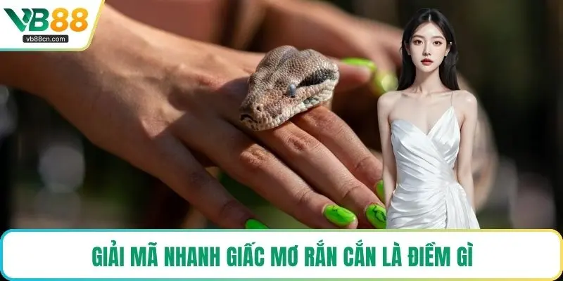 Giải mã nhanh giấc mơ rắn cắn là điềm gì