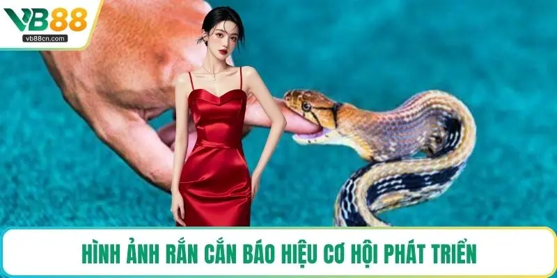 Hình ảnh rắn cắn báo hiệu cơ hội phát triển